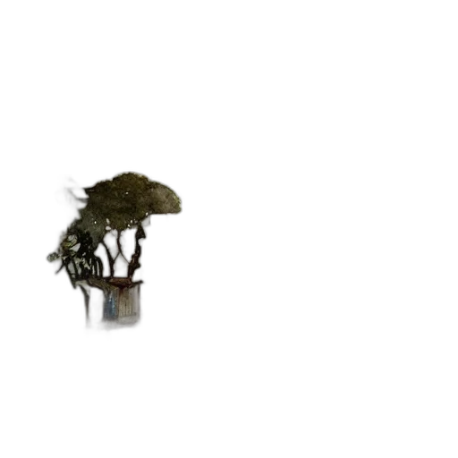 tree, hat, crown, furniture transparent PNG cut-out