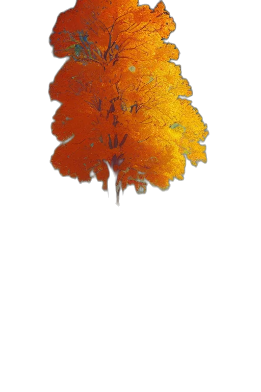 tree, crown, jacket, flower transparent PNG cut-out