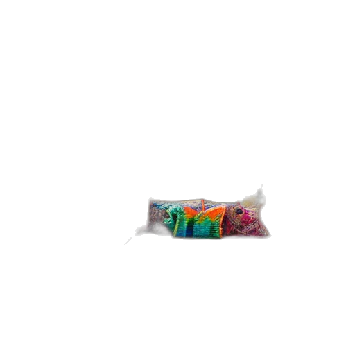 food, bottle, jewelry, weapon transparent PNG cut-out