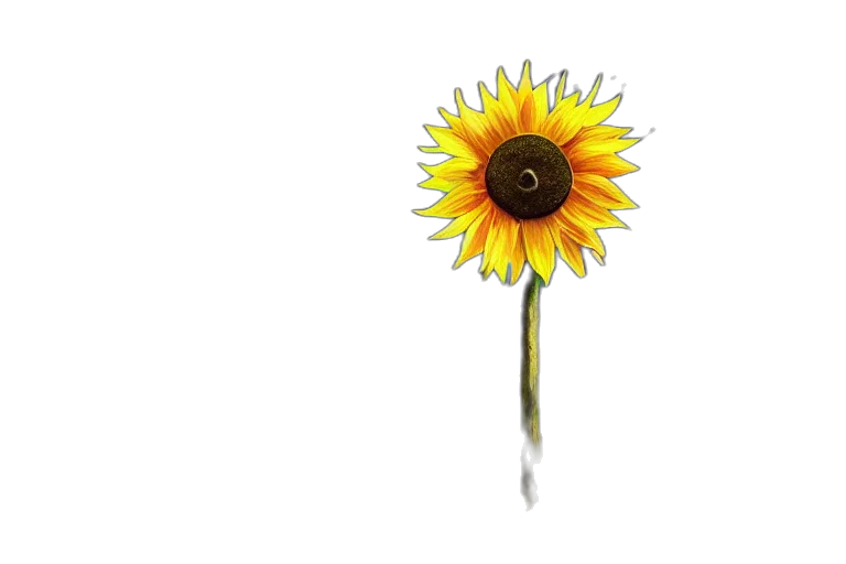 flower, staff, umbrella, jewelry transparent PNG cut-out