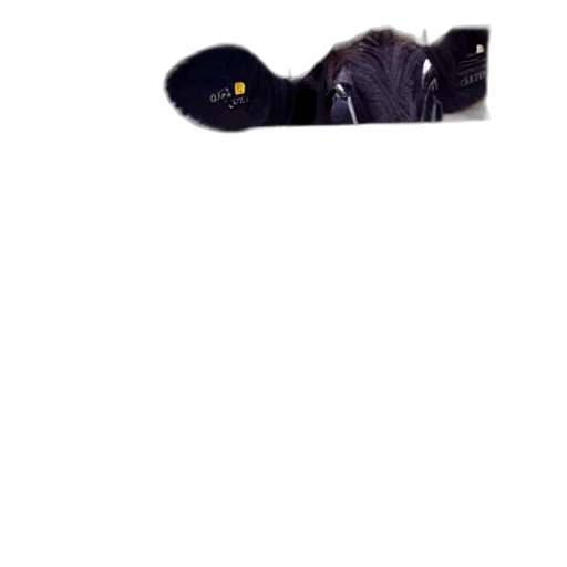 animal, hat, creature, staff, photorealistic, outer space, dark, cow transparent PNG cut-out