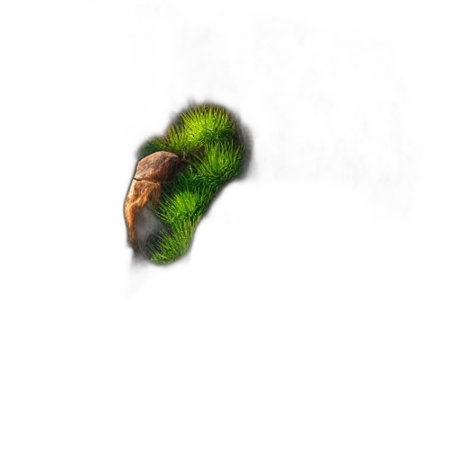 hair, creature, tree, face transparent PNG cut-out