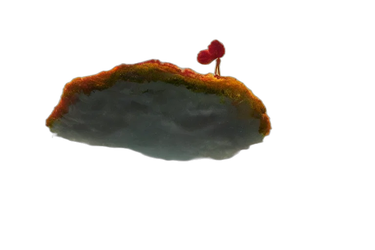 crown, food, hat, hair, 3d render, photorealistic, concept art, underwater transparent PNG cut-out