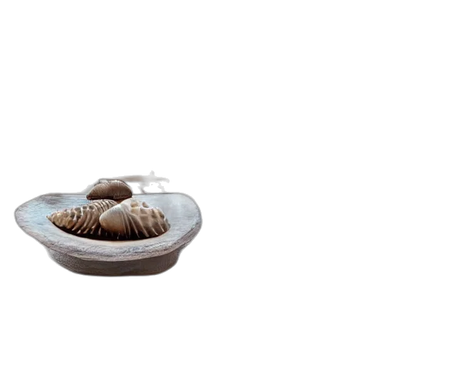 food, furniture, jewelry, shoes, 3d render, photorealistic, modern, living transparent PNG cut-out