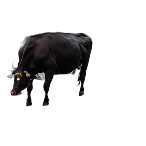 animal, food, creature, jewelry, concept art, photorealistic, 3d render, pixel art transparent PNG cut-out