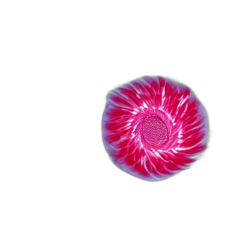 flower, hair, jewelry, staff, 3d render, photorealistic, vaporwave, underwater transparent PNG cut-out