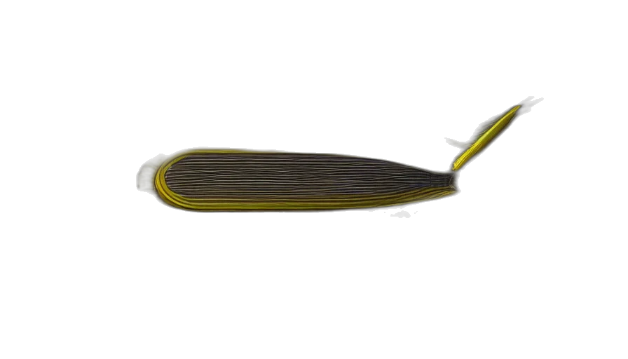 staff, weapon, shoes, hat transparent PNG cut-out