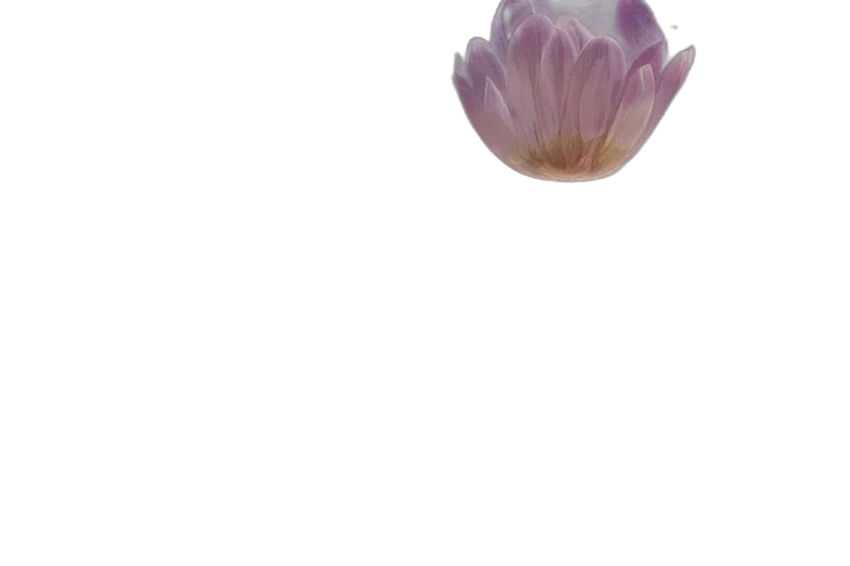 flower, crown, jewelry, creature, 3d render, photorealistic, pixel art, vaporwave transparent PNG cut-out