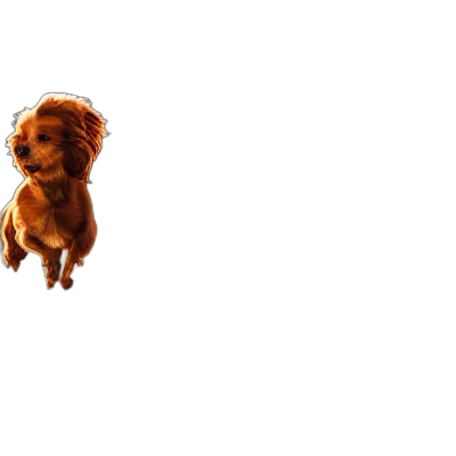 animal, creature, staff, hair, photorealistic, 3d render, pixel art, concept art transparent PNG cut-out