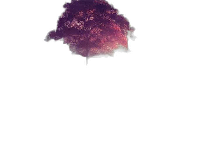 tree, umbrella, crown, hat, photorealistic, watercolor, 3d render, concept art transparent PNG cut-out