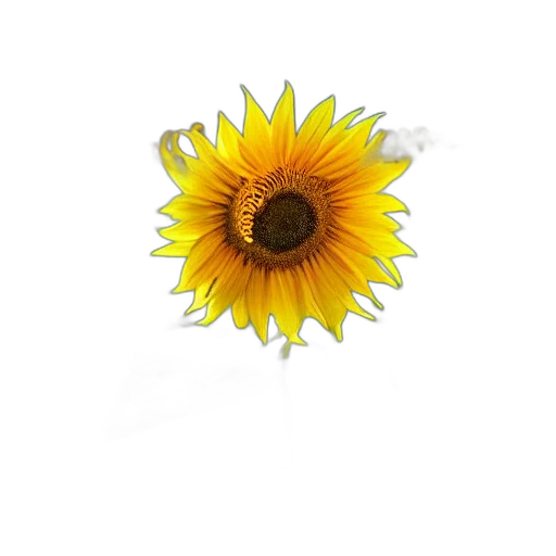 flower, crown, staff, jewelry, 3d render, photorealistic, pixel art, concept art transparent PNG cut-out