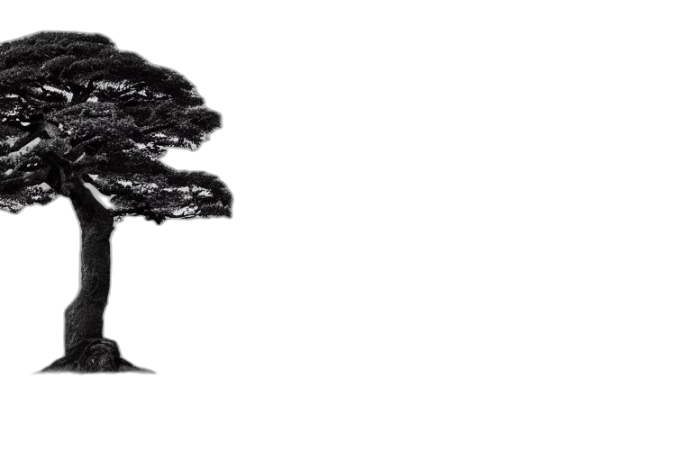 hair, dragon, mask, animal, concept art, photorealistic, 3d render, dark transparent PNG cut-out