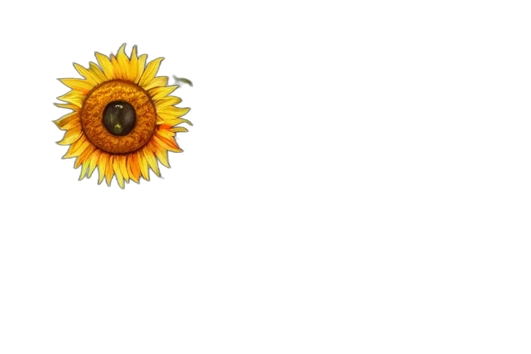 flower, crown, jewelry, umbrella transparent PNG cut-out