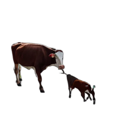 animal, food, jewelry, creature, concept art, pixel art, 3d render, photorealistic transparent PNG cut-out