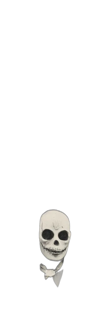 face, hat, mask, staff transparent PNG cut-out