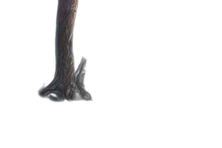 staff, sword, tree, weapon transparent PNG cut-out