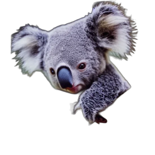animal, creature, hat, staff, photorealistic, 3d render, concept art, polaroid transparent PNG cut-out