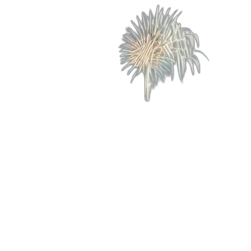 flower, crown, hair, staff, 3d render, photorealistic, concept art, pixel art transparent PNG cut-out