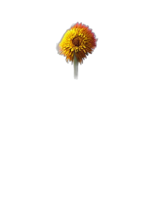 flower, staff, crown, weapon, 3d render, photorealistic, pixel art, concept art transparent PNG cut-out