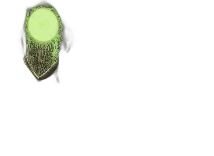 hair, hat, creature, crown transparent PNG cut-out