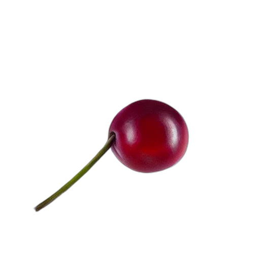 food, staff, flower, weapon transparent PNG cut-out