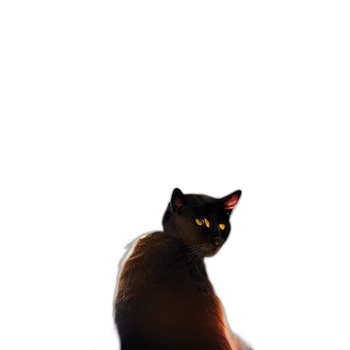 animal, creature, staff, robot transparent PNG cut-out