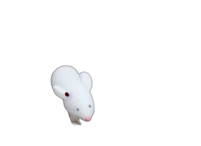animal, creature, food, weapon transparent PNG cut-out