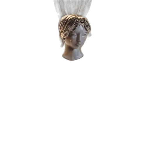 crown, jewelry, mask, hair transparent PNG cut-out