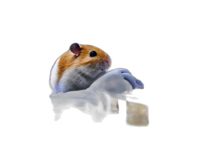 animal, food, creature, hat, concept art, photorealistic, 3d render, film transparent PNG cut-out