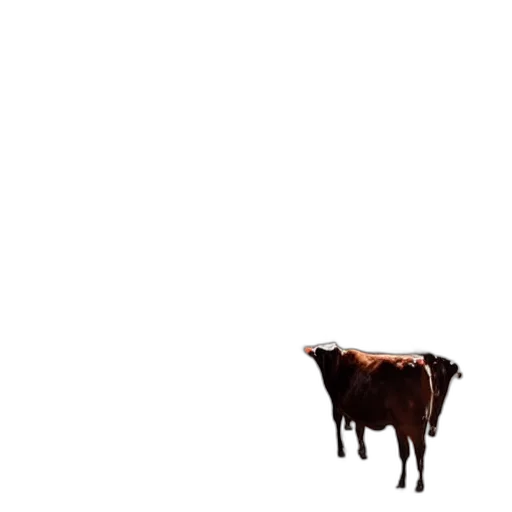 animal, food, creature, robot, pixel art, concept art, photorealistic, 3d render transparent PNG cut-out