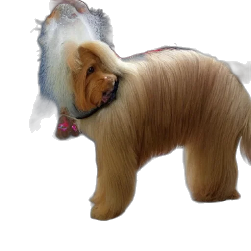 animal, hair, creature, staff, 3d render, photorealistic, bad, dog transparent PNG cut-out