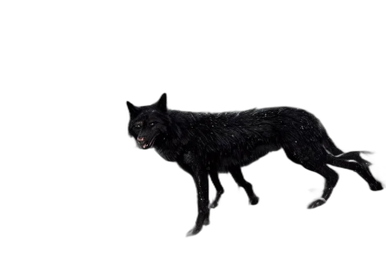 animal, creature, dragon, hair transparent PNG cut-out