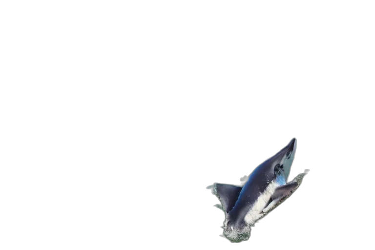 animal, creature, dragon, weapon, 3d render, vaporwave, concept art, pixel art transparent PNG cut-out