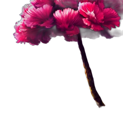 flower, crown, umbrella, tree transparent PNG cut-out