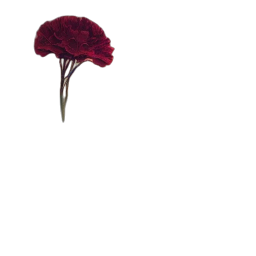 flower, hat, crown, weapon transparent PNG cut-out
