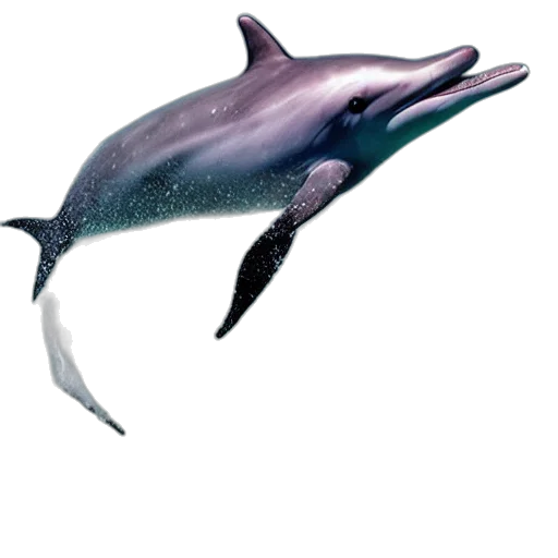 animal, creature, weapon, staff transparent PNG cut-out