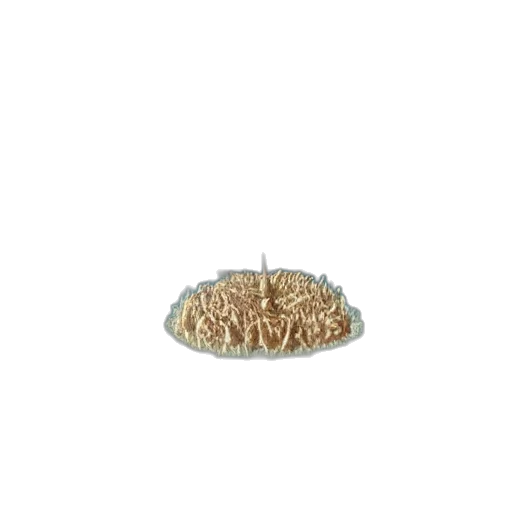 food, jewelry, crown, hat, 3d render, photorealistic, pixel art, alien transparent PNG cut-out