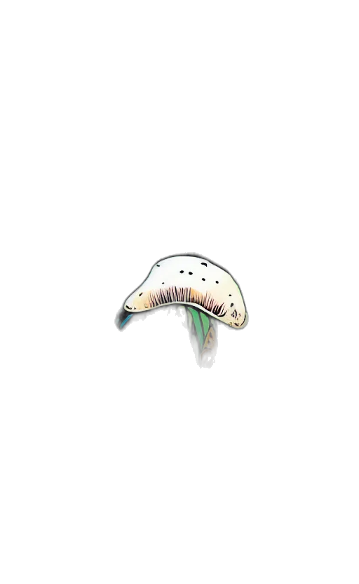 hat, umbrella, creature, animal transparent PNG cut-out