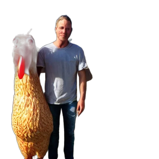 animal, creature, jacket, food transparent PNG cut-out