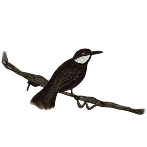 staff, animal, weapon, jewelry transparent PNG cut-out