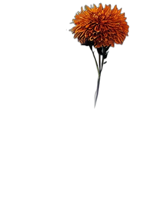 flower, staff, crown, umbrella, photorealistic, 3d render, pixel art, concept art transparent PNG cut-out