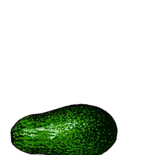 food, weapon, bottle, animal transparent PNG cut-out