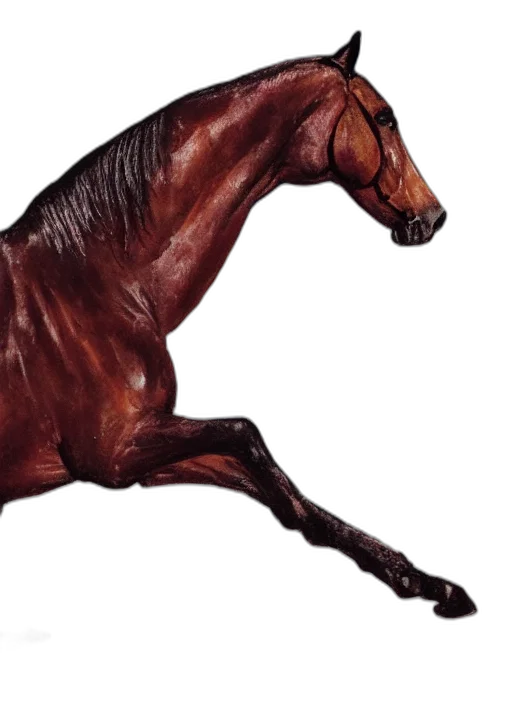 animal, creature, hair, furniture, photorealistic, concept art, 3d render, oil painting transparent PNG cut-out