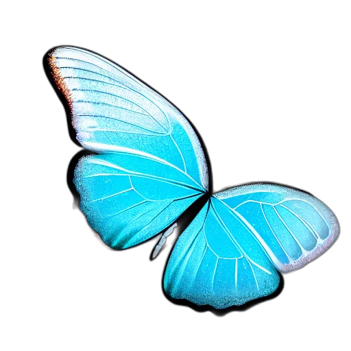 animal, jewelry, creature, flower transparent PNG cut-out