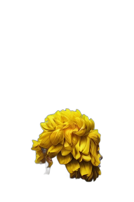 flower, crown, hair, staff, 3d render, photorealistic, pixel art, oil painting transparent PNG cut-out