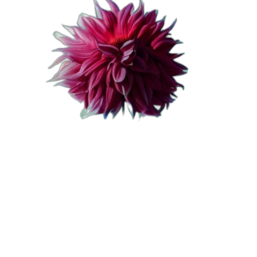 flower, crown, hair, staff transparent PNG cut-out