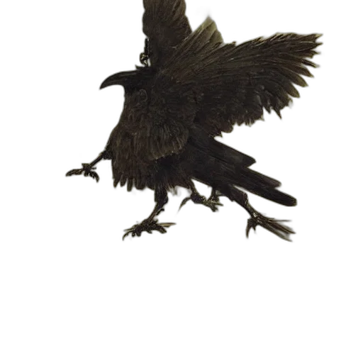animal, dragon, creature, staff, concept art, 3d render, fantasy art, photorealistic transparent PNG cut-out
