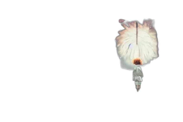 umbrella, animal, hair, flower transparent PNG cut-out