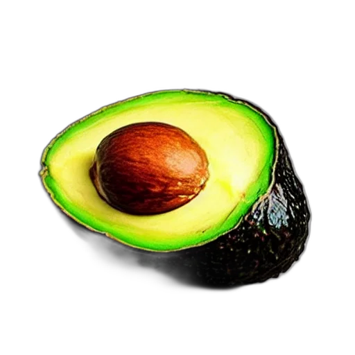 food, animal, hair, hat transparent PNG cut-out