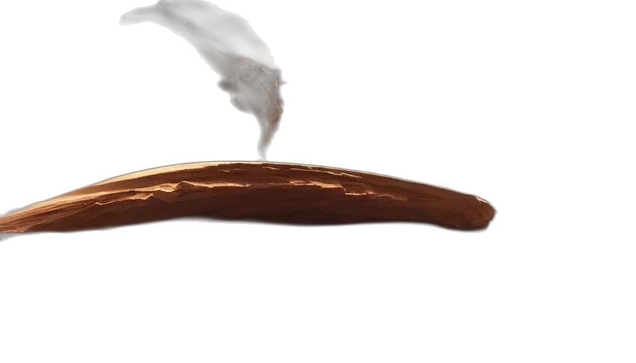 food, hat, staff, hair transparent PNG cut-out